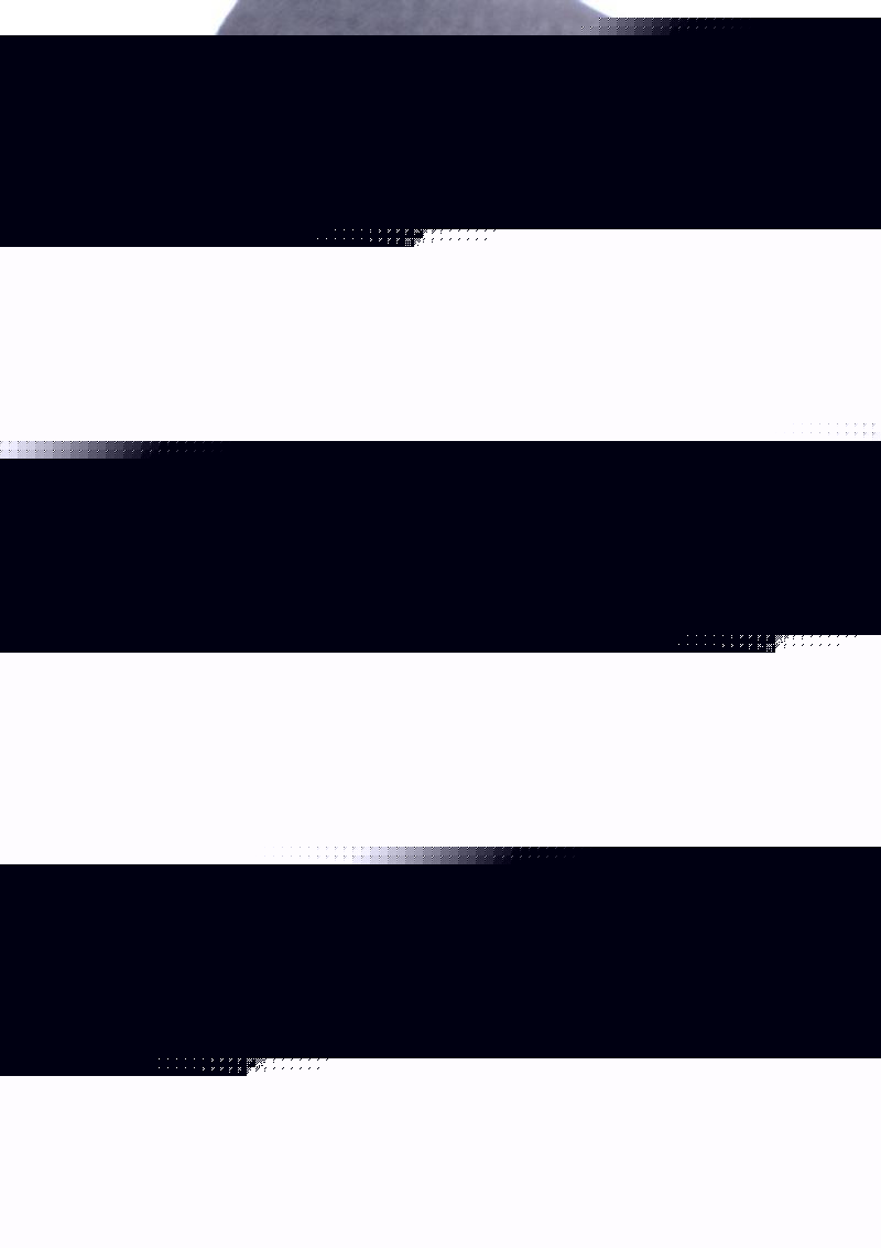 Strap U Lace Envy Black Crotchless Panty Harness - L/XL