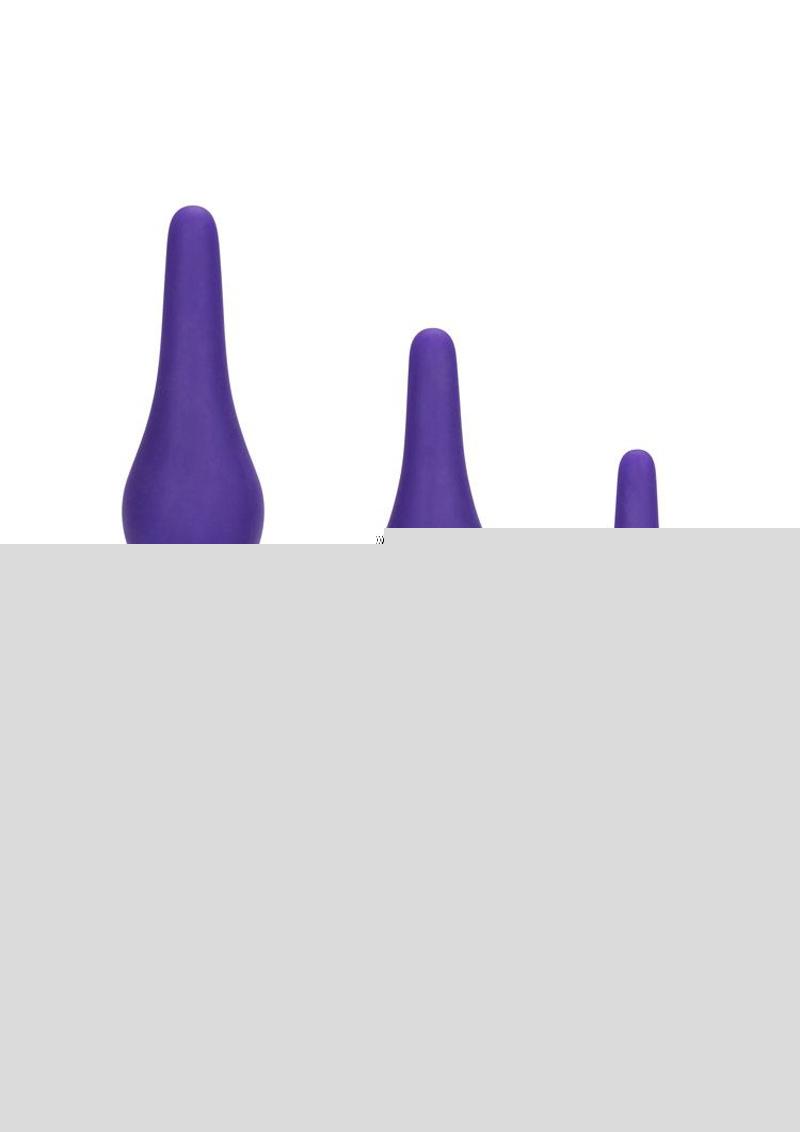 Booty Call Booty Trainer Starter Kit Silicone Anal Plugs 3 Assorted Sizes - Purple