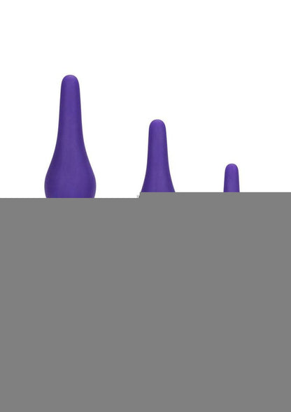 Booty Call Booty Trainer Starter Kit Silicone Anal Plugs 3 Assorted Sizes - Purple