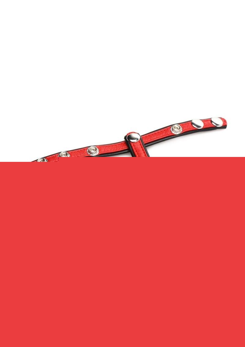 Cock Gear Leather Snap-On Harness