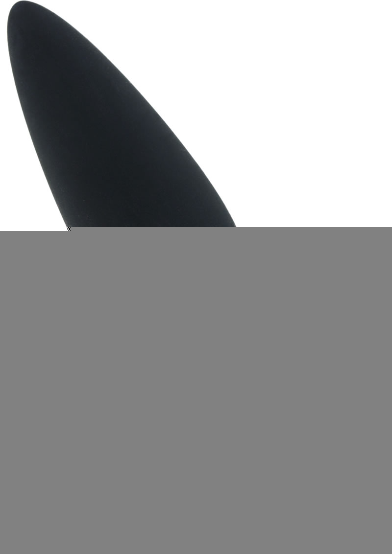 Fifty Shades Of Grey Something Forbidden Butt Plug - Black