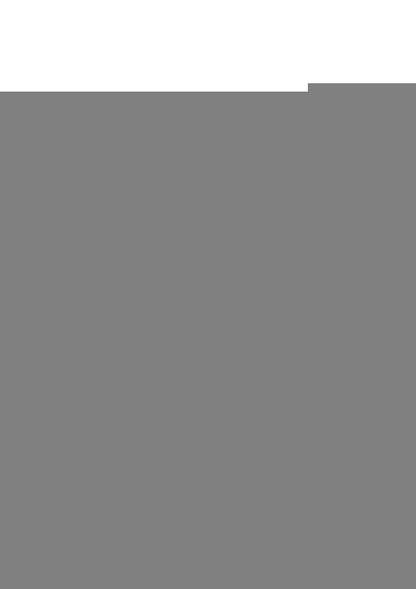 Master Series Ass Vault Locking Ass Expander - Stainless