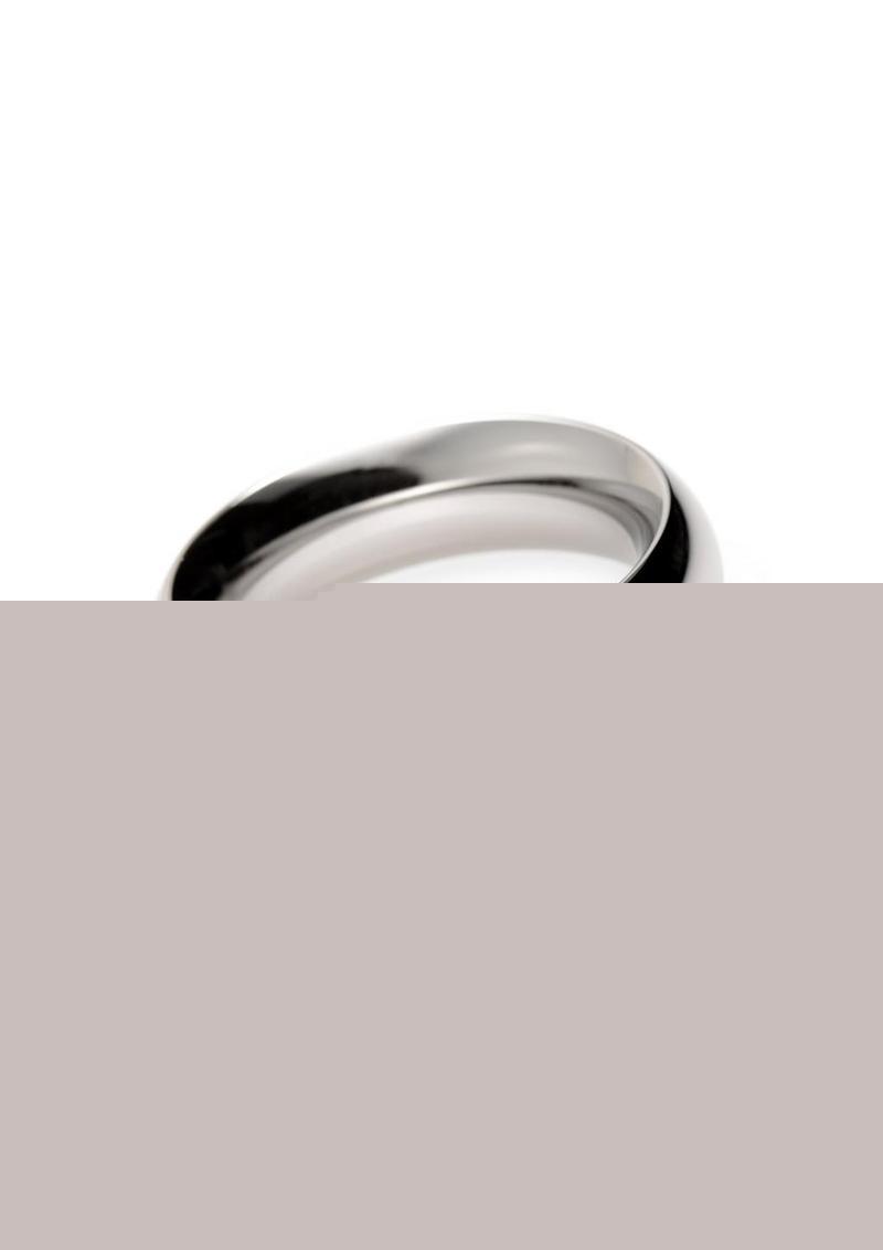 Master Series Stainless Steel Cock Ring