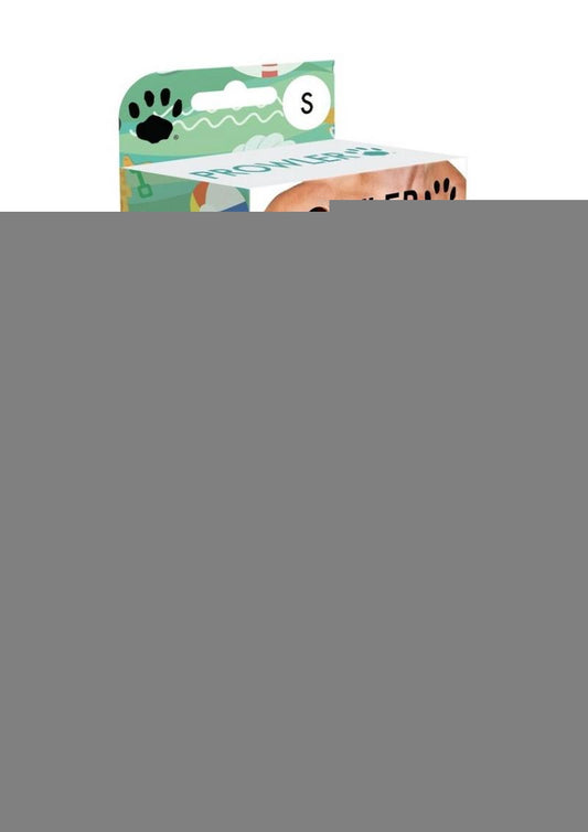 Prowler Beach Trunk - Aqua/Green - Small