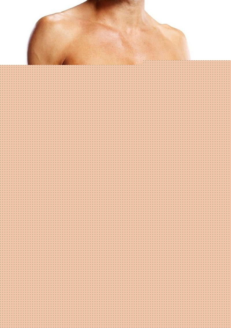 Prowler Lace Brief - Black - XXLarge