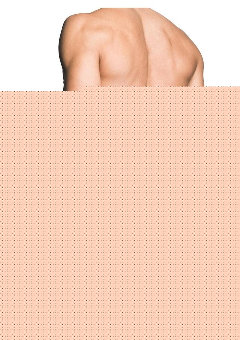 Prowler Red Fishnet Ass-Less Trunk