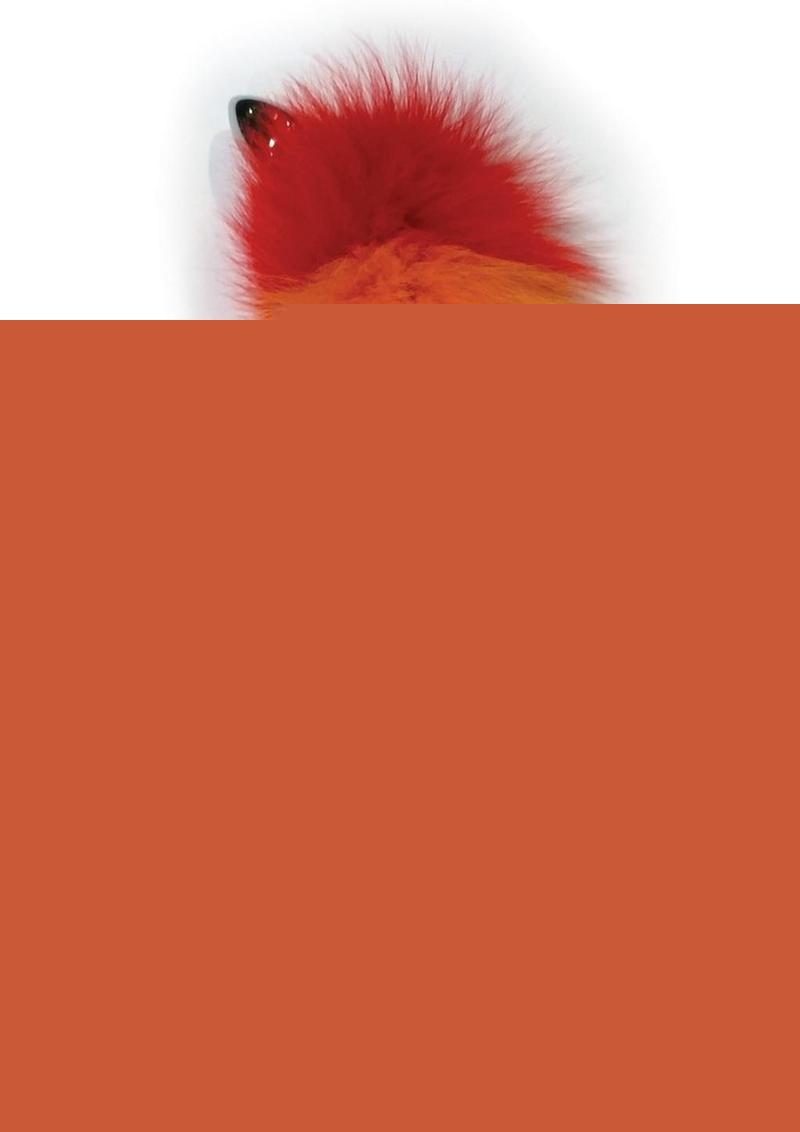 Rainbow Foxy Tail Pleasure Stainless Steel Plug