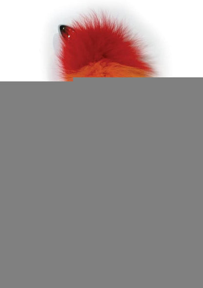 Rainbow Foxy Tail Pleasure Stainless Steel Plug