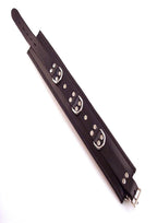 Rouge 3 D-Ring Padded Leather Adjustable Collar