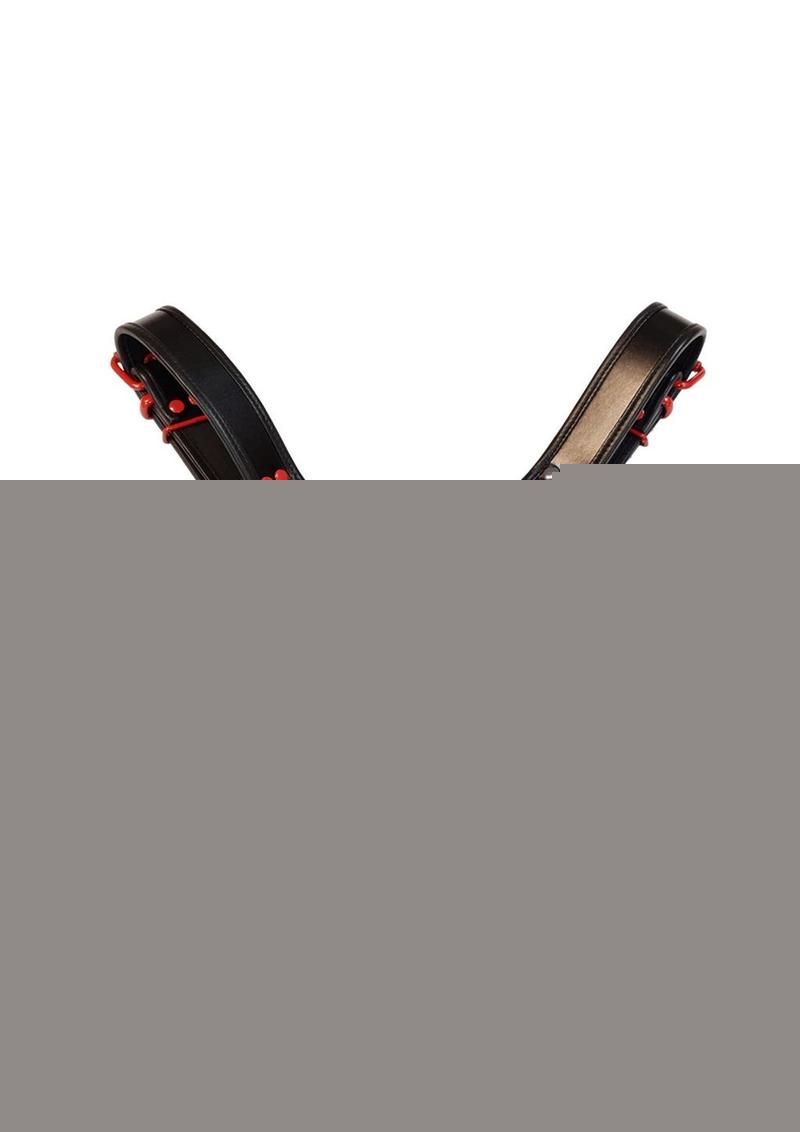 Rouge Leather Over The Head Harness Black with Red Accessories - Black/Red - Small