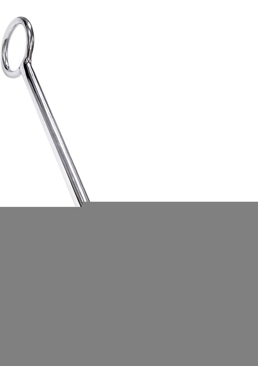 Rouge Stainless Steel Anal Hook