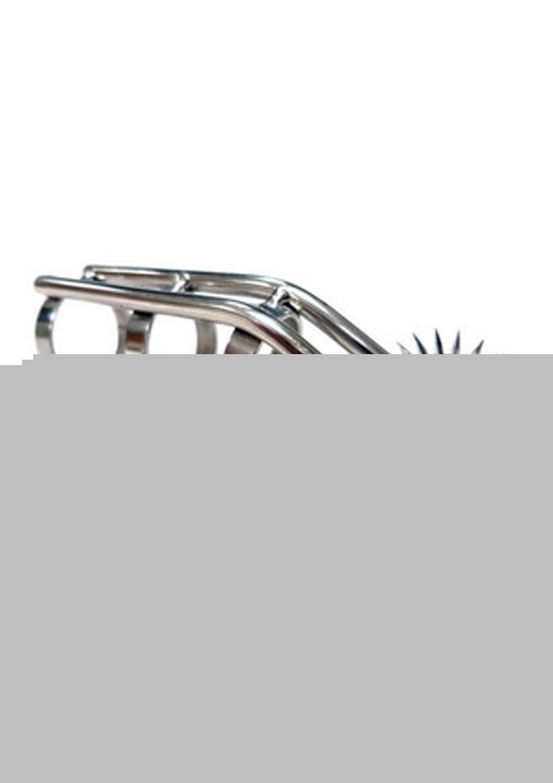 Rouge Stainless Steel Cat Claw with 2 Pinwheels