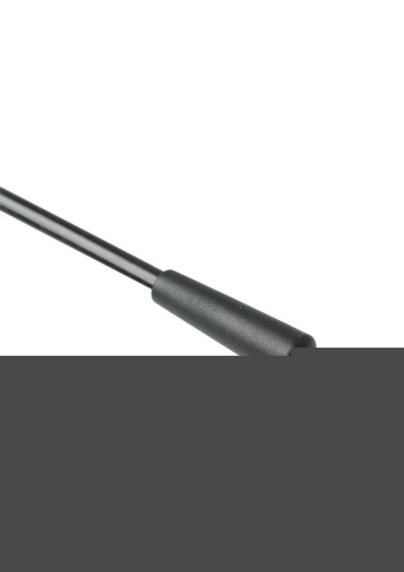 Sex and Mischeif Riding Crop