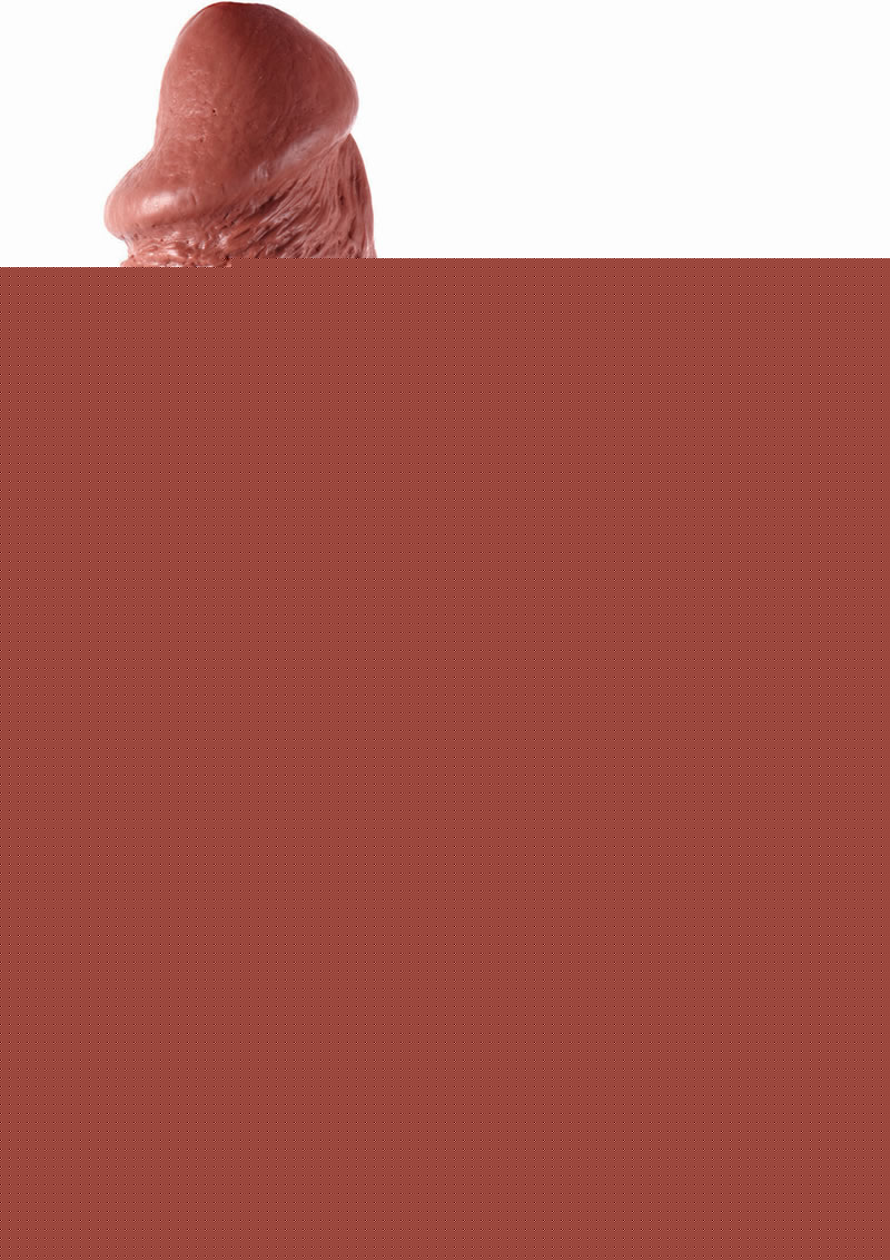 Shane Diesel Big Black and Realistic Dildo with Balls - Chocolate - 10in