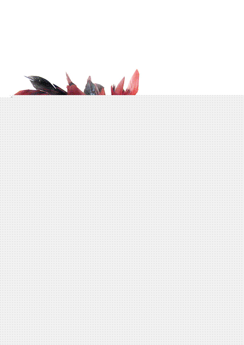 Sportsheets Sexy Submissive Kit - Black/Red