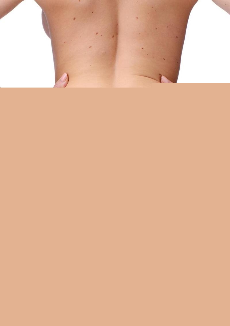 Strap U Bardot Elastic Strap-On Harness with Thigh Cuffs