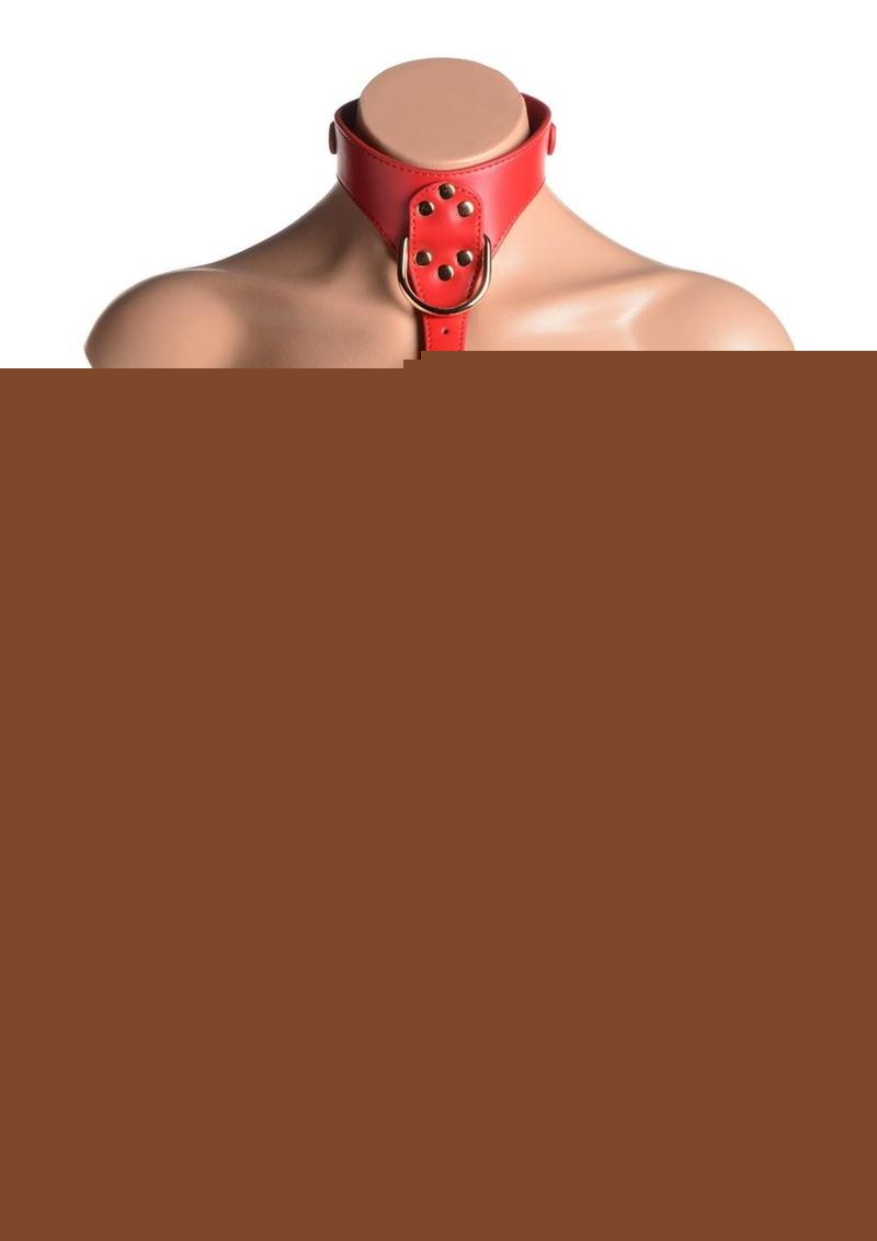 Strict Female Chest Harness - Metal/Red - Medium/Small