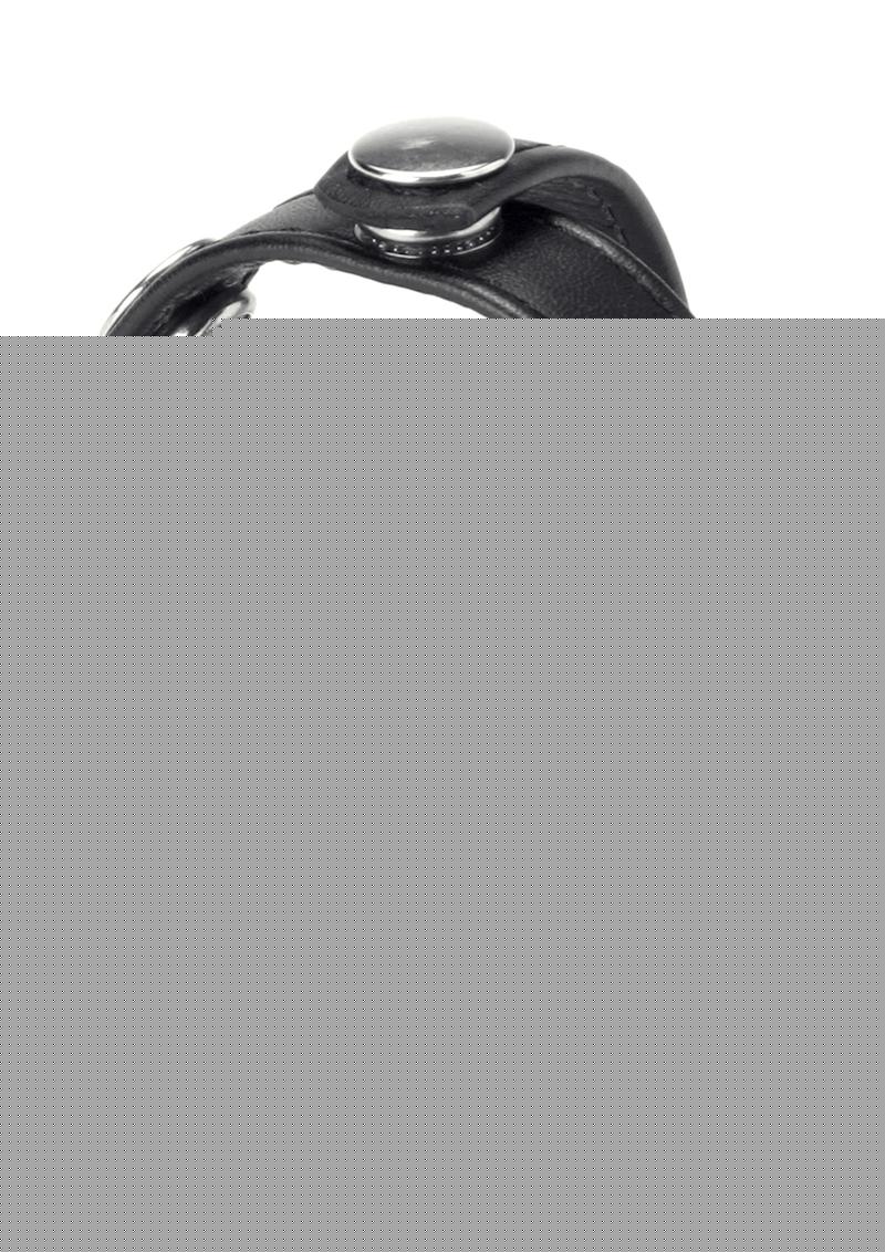 Strict Snap-On Cock and Ball Harness - Black