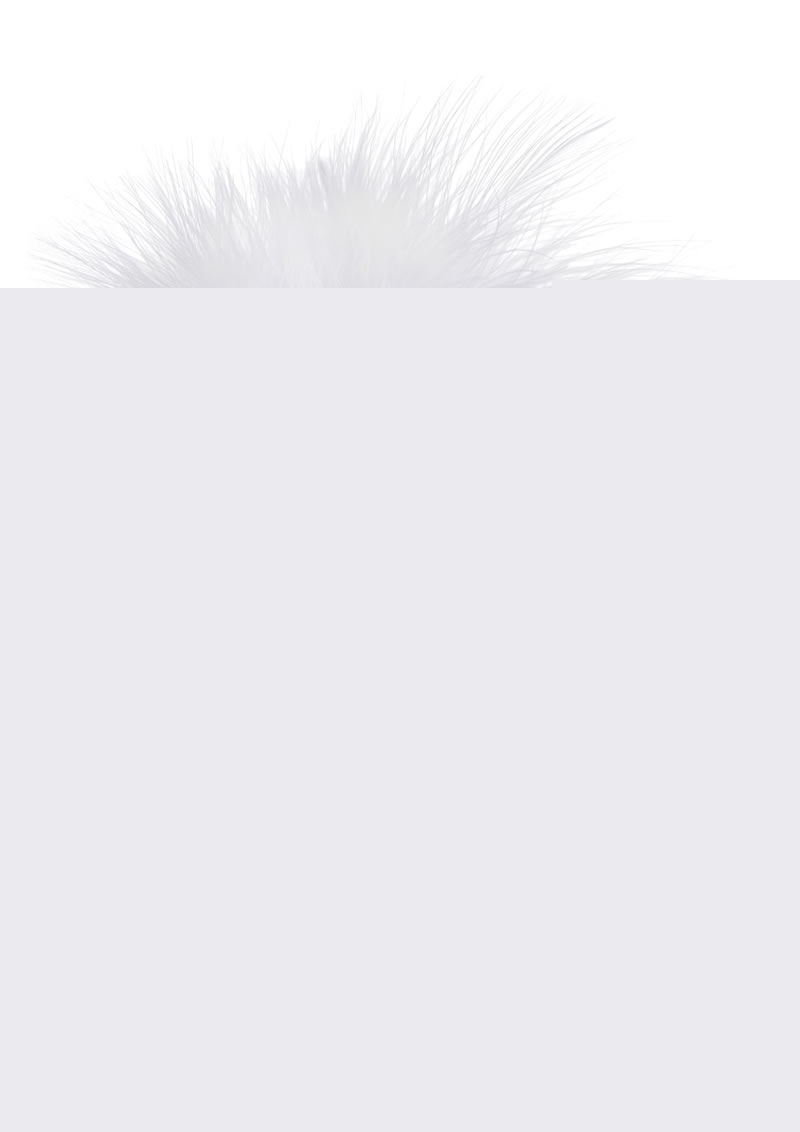 Tailz Fluffer Bunny Tail Glass Anal Plug - Black/White