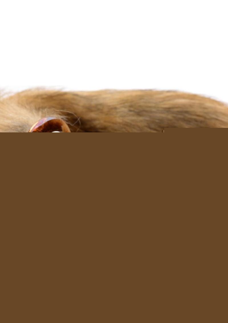 Tailz Fox Tail Glass Anal Plug