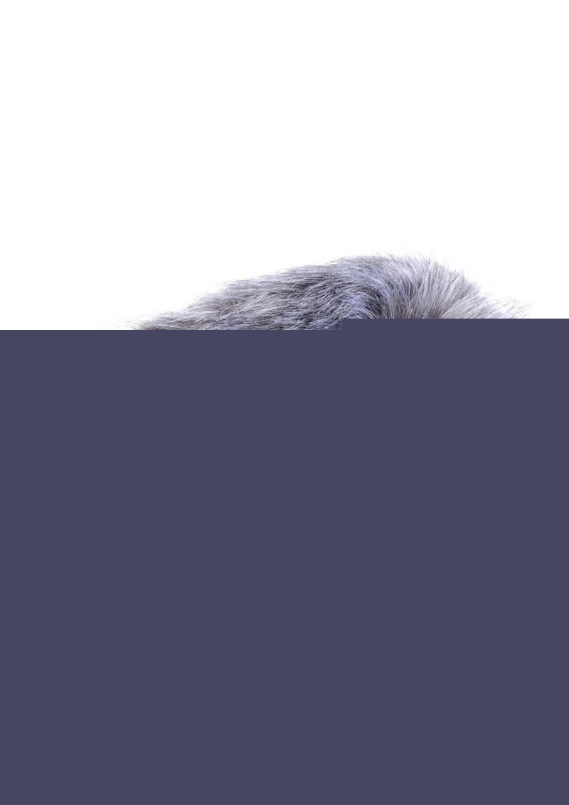 Tailz Vibrating Fox Tail