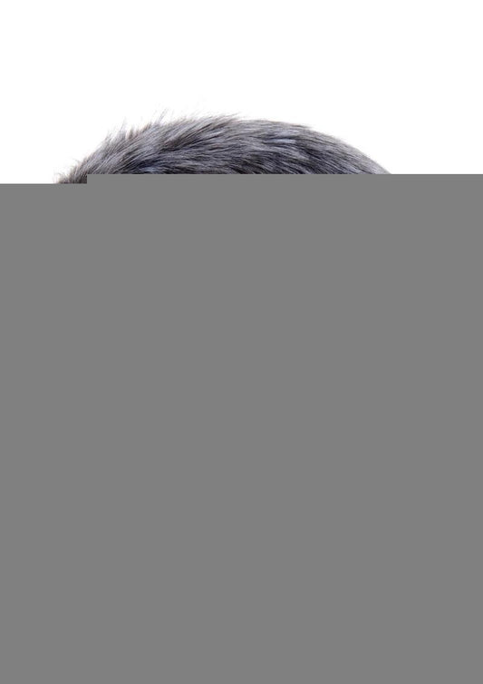 Tailz Vibrating Rechargeable Silicone Anal Plug and 3 Tails with Remote Control - Assorted Colors/Multicolor - Set