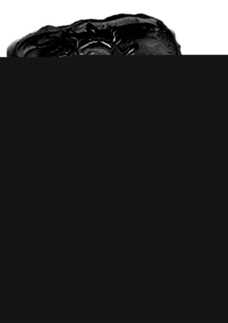 The Macho Stallions Pulsating Erection Keeper Silicone Vibrating Cock Ring - Black