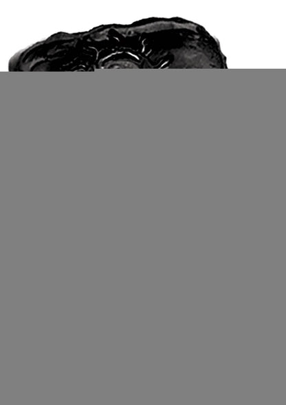 The Macho Stallions Pulsating Erection Keeper Silicone Vibrating Cock Ring - Black