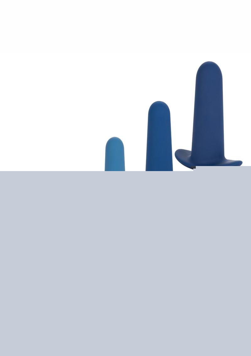 They Ology Wearable Anal Trainer - Blue - 5 Piece Set