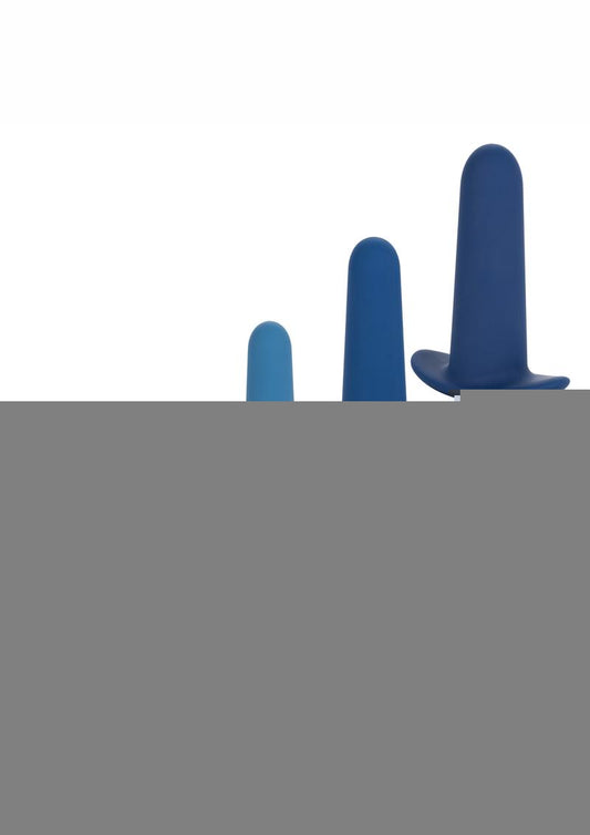 They Ology Wearable Anal Trainer - Blue - 5 Piece Set