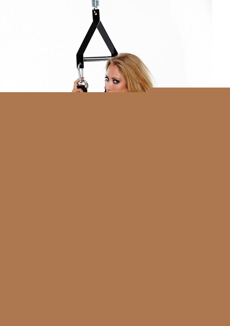 WhipSmart Pleasure Swing