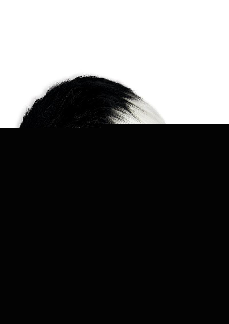 WhipSmart Silicone Remote Plug 3.75in with Fox Tail - Black